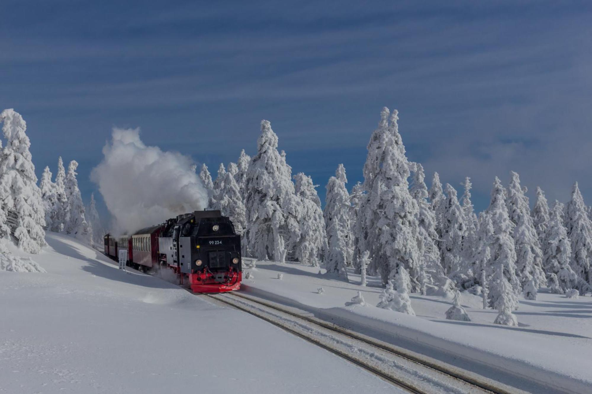 Traumfewo Palais #Innenstadt #Garten #Netflix Von Harztraveler Wernigerode Eksteriør bilde